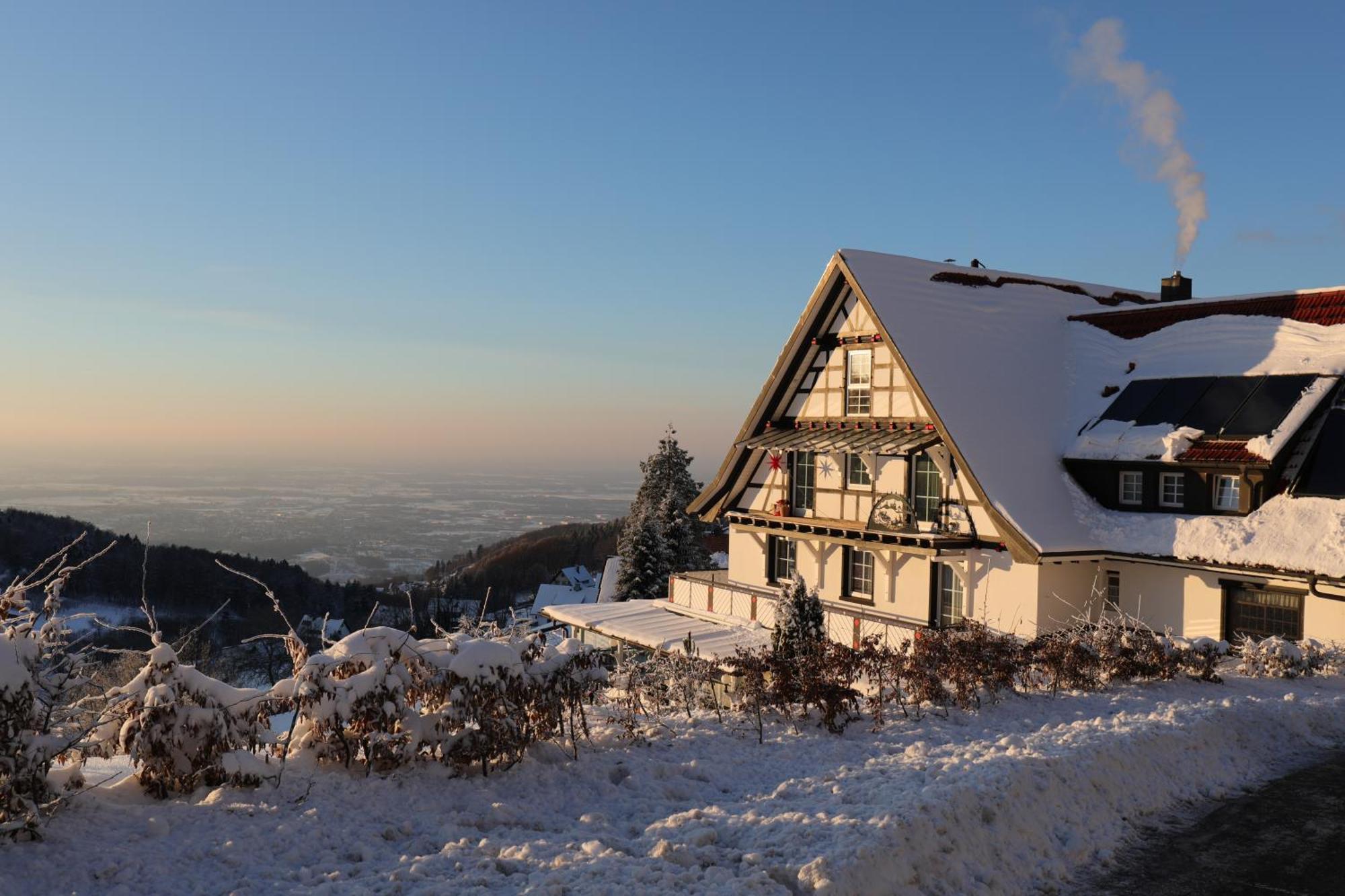 Hotel Berghof Gruener Baum