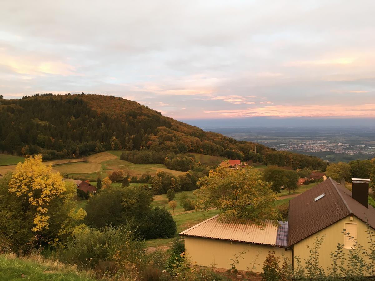 Berghof Gruener Baum Hotel